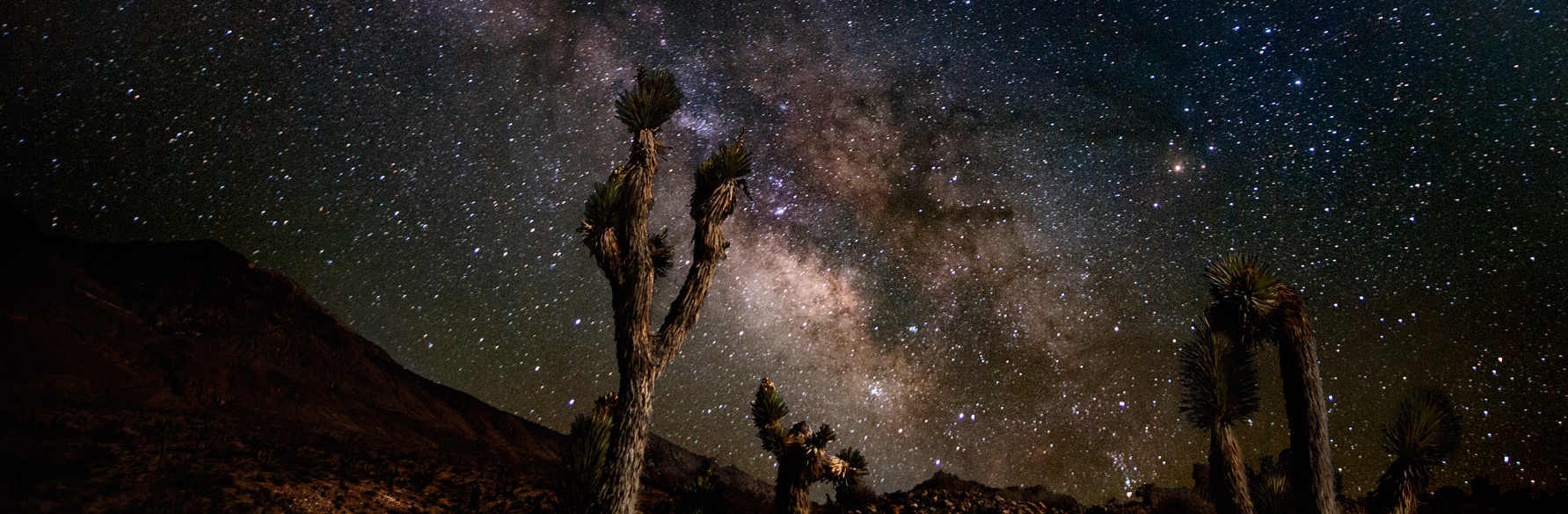 Out of body experiences and death. Are they
related?